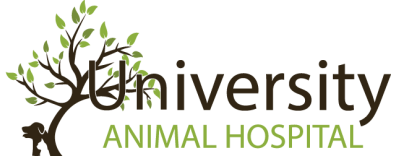 University Animal Hospital Orlando-FooterLogo
